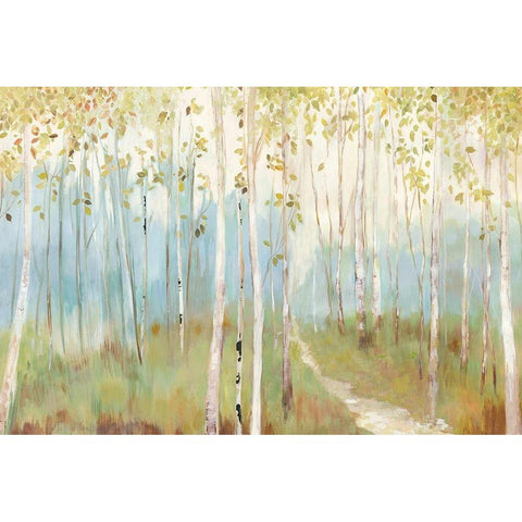 Sunny Forest  Black Modern Wood Framed Art Print with Double Matting by Pearce, Allison