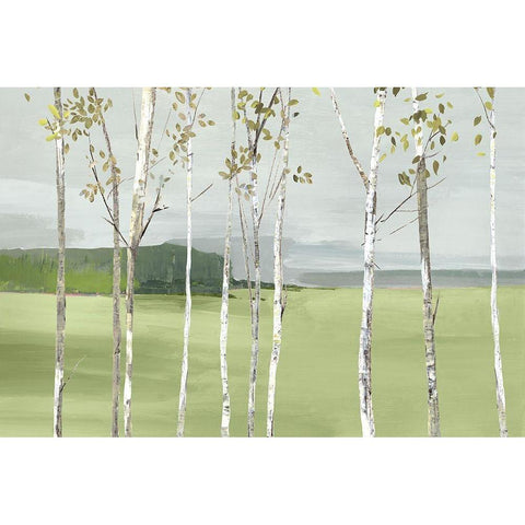 Birch Valley Black Modern Wood Framed Art Print with Double Matting by Pearce, Allison