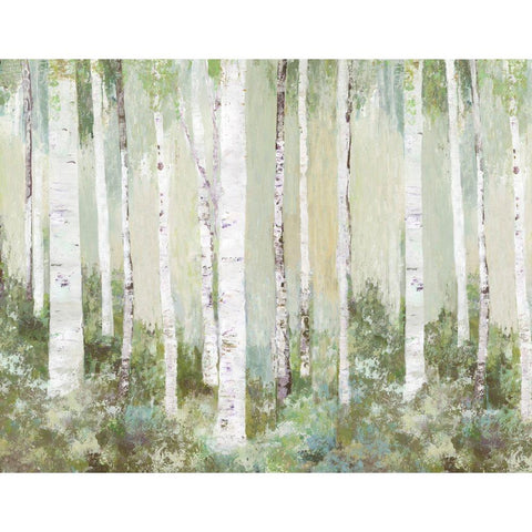 Tranquil Forest Black Modern Wood Framed Art Print with Double Matting by Pearce, Allison