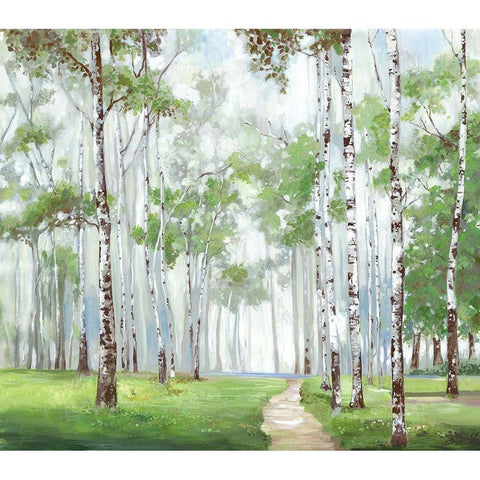 Quiet Path White Modern Wood Framed Art Print by Pearce, Allison