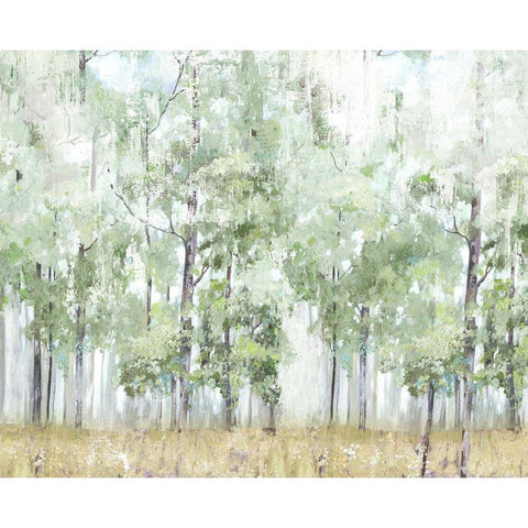 Into the Forest Light White Modern Wood Framed Art Print by Pearce, Allison