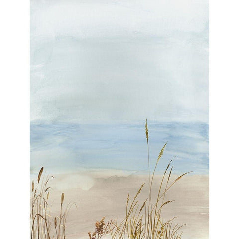 Soft Beach Grass I  Black Modern Wood Framed Art Print with Double Matting by Pearce, Allison
