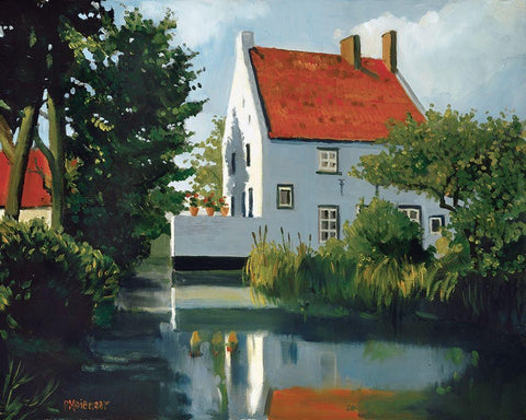 Geraniums On The Wall White Modern Wood Framed Art Print with Double Matting by Molenaar, Pieter