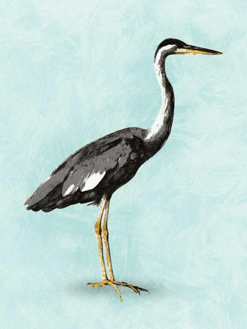 Seashore Bird I White Modern Wood Framed Art Print with Double Matting by PI Galerie