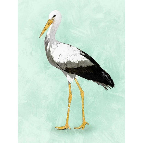 Seashore Bird II Black Modern Wood Framed Art Print with Double Matting by PI Galerie