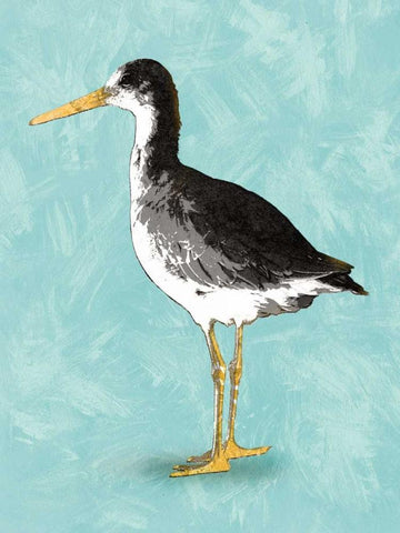 Seashore Bird III Black Ornate Wood Framed Art Print with Double Matting by PI Galerie