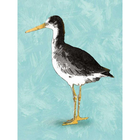 Seashore Bird III White Modern Wood Framed Art Print by PI Galerie