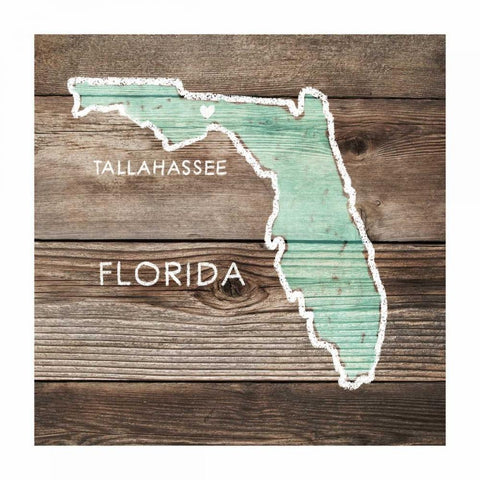 Florida Rustic Map Gold Ornate Wood Framed Art Print with Double Matting by PI Galerie