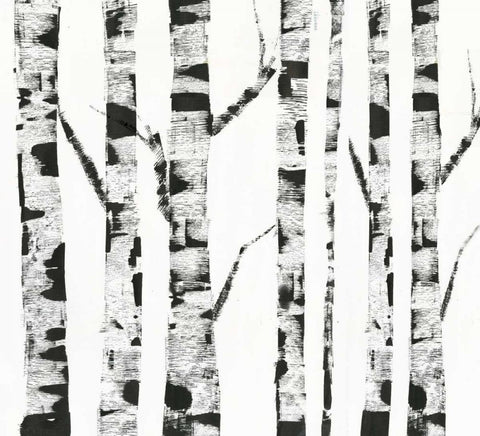 White Birch White Modern Wood Framed Art Print with Double Matting by PI Galerie