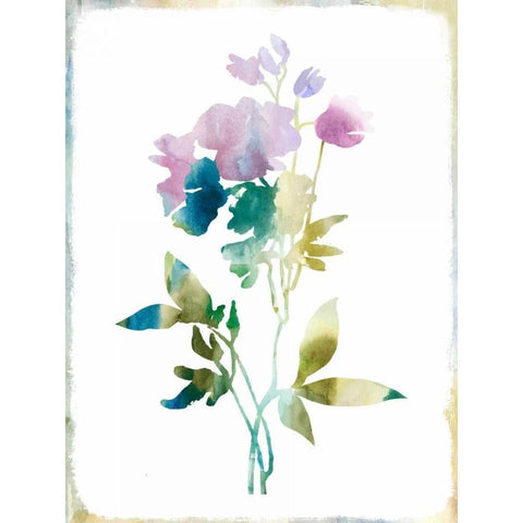 Summer Botanical II Black Modern Wood Framed Art Print with Double Matting by PI Galerie
