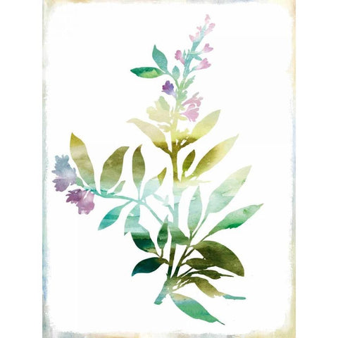 Summer Botanical III Gold Ornate Wood Framed Art Print with Double Matting by PI Galerie
