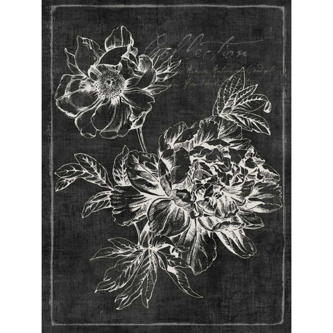 Black Botanical I White Modern Wood Framed Art Print by PI Galerie