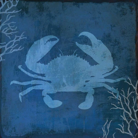 Navy Sea Crab White Modern Wood Framed Art Print with Double Matting by PI Studio