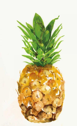 Pineapple I Black Ornate Wood Framed Art Print with Double Matting by PI Studio