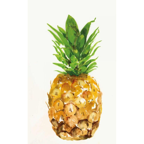 Pineapple I Black Modern Wood Framed Art Print with Double Matting by PI Studio