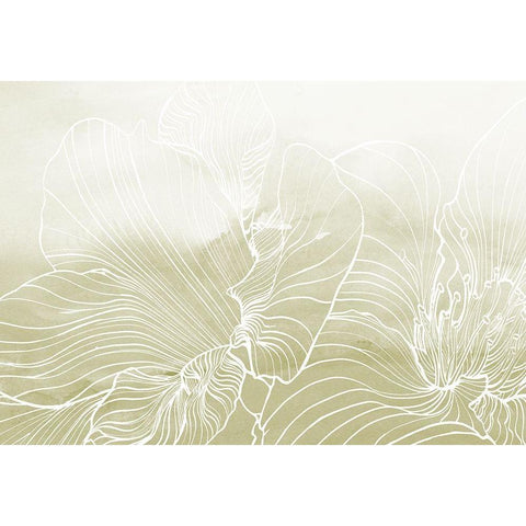 Golden Florals  Black Modern Wood Framed Art Print with Double Matting by Collabera, Pamela