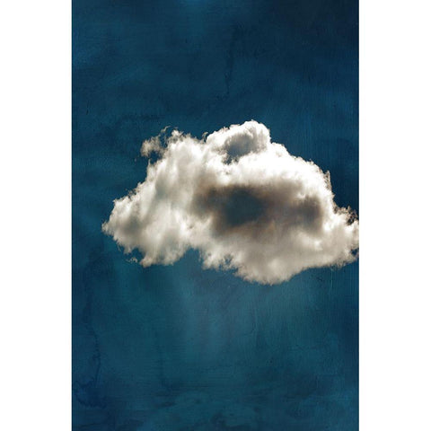 Cloudy Chance II  Black Modern Wood Framed Art Print with Double Matting by PI Studio