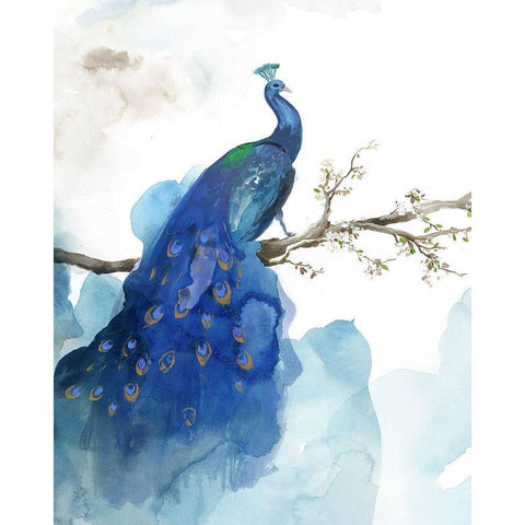 Blue Peacock Black Modern Wood Framed Art Print with Double Matting by PI Studio