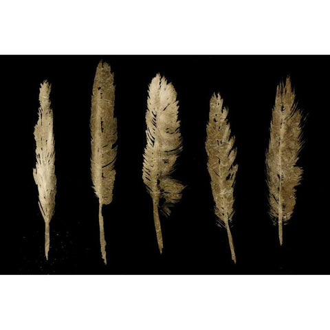 Gold Feathers I Black Modern Wood Framed Art Print with Double Matting by PI Studio