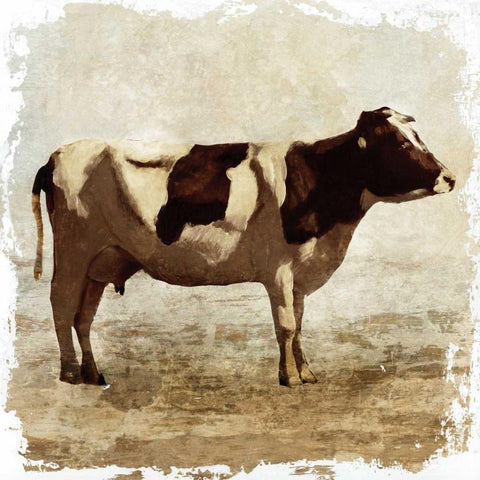 Cow white border White Modern Wood Framed Art Print with Double Matting by PI Studio