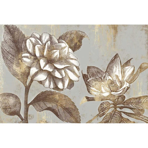 Magnolia Blooms Black Modern Wood Framed Art Print with Double Matting by PI Studio