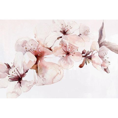 Watercolor Blossoms I Black Modern Wood Framed Art Print with Double Matting by PI Studio
