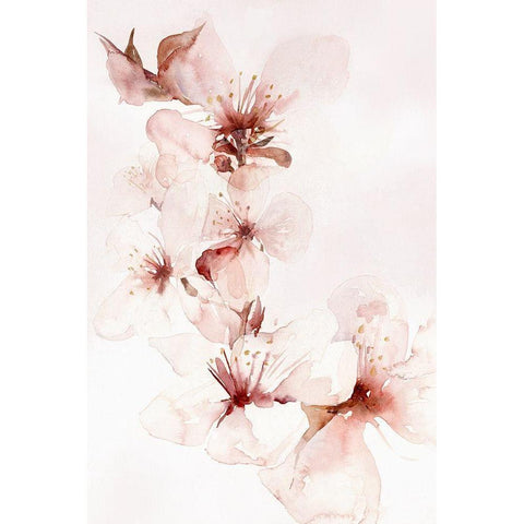 Watercolor Blossoms II White Modern Wood Framed Art Print by PI Studio