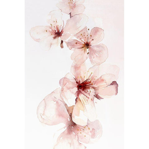 Watercolor Blossoms III Black Modern Wood Framed Art Print with Double Matting by PI Studio