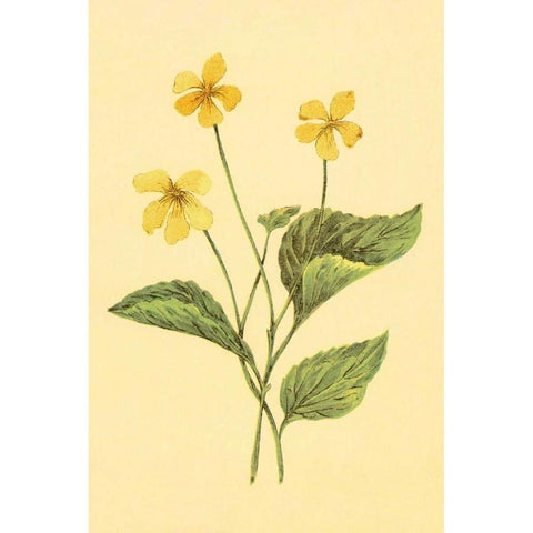 Yellow Violet Black Modern Wood Framed Art Print with Double Matting by PI Collection