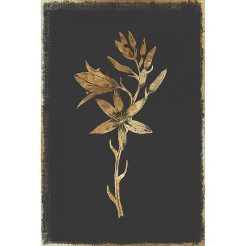 Carmass and Wild Hyacinth Black Modern Wood Framed Art Print with Double Matting by PI Collection