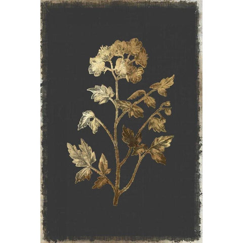 Cut Leaved Phacelia White Modern Wood Framed Art Print by PI Collection