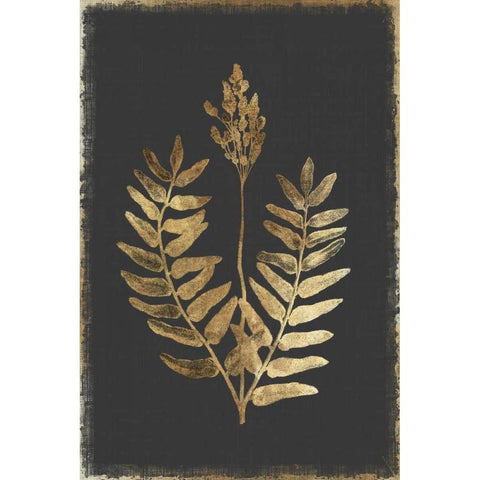 Flowering Fern Black Modern Wood Framed Art Print with Double Matting by PI Collection