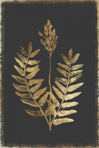 Flowering Fern White Modern Wood Framed Art Print with Double Matting by PI Collection