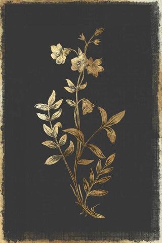 Greek Valerian Black Ornate Wood Framed Art Print with Double Matting by PI Collection
