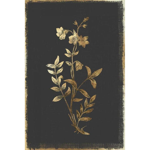 Greek Valerian Gold Ornate Wood Framed Art Print with Double Matting by PI Collection