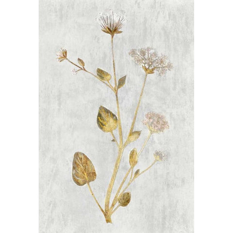 Abronia Turbinata White Modern Wood Framed Art Print by PI Collection