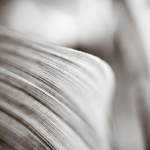 Wave Leaf III White Modern Wood Framed Art Print by Cotter, Rick