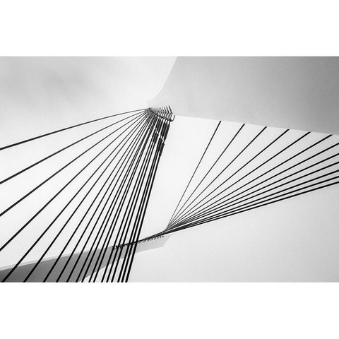Heights Black Modern Wood Framed Art Print with Double Matting by Cotter, Rick