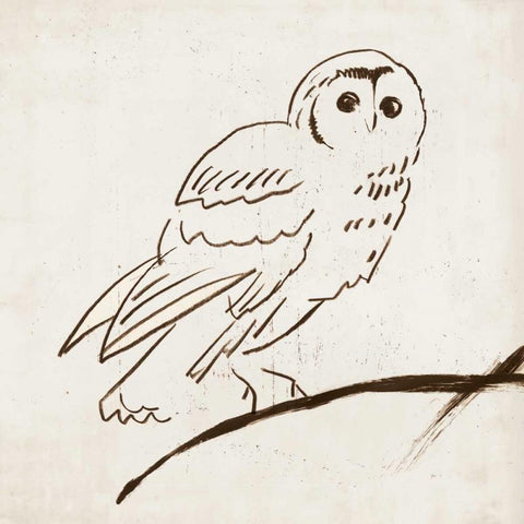 Owl II White Modern Wood Framed Art Print with Double Matting by Reeves, Tom