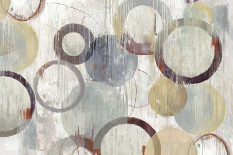 Distressed Rings III Black Ornate Wood Framed Art Print with Double Matting by Reeves, Tom