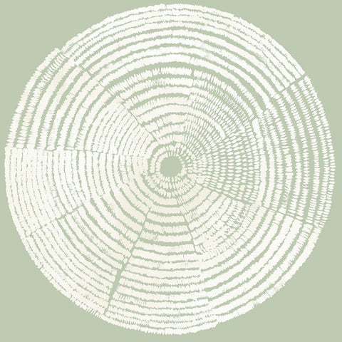 Circles of Life I Black Modern Wood Framed Art Print by Reeves, Tom
