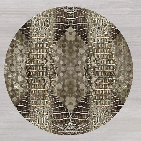 Dragon Skin Black Modern Wood Framed Art Print with Double Matting by Reeves, Tom
