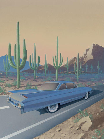 Saguaro National Park White Modern Wood Framed Art Print with Double Matting by Courtney, Richard