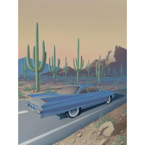 Saguaro National Park Black Modern Wood Framed Art Print by Courtney, Richard