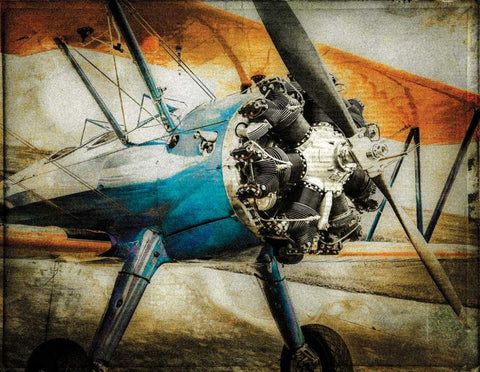 Boyancy I Black Ornate Wood Framed Art Print with Double Matting by James, Richard