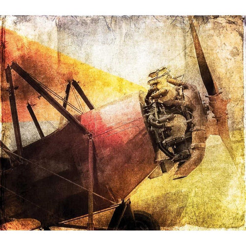 Boyancy II White Modern Wood Framed Art Print by James, Richard