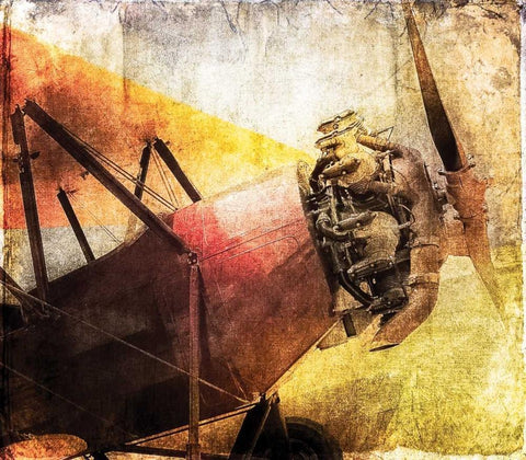 Boyancy II Black Ornate Wood Framed Art Print with Double Matting by James, Richard