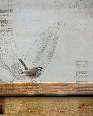 Wren I White Modern Wood Framed Art Print with Double Matting by Cozart, Rebecca