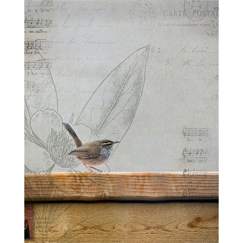 Wren I Black Modern Wood Framed Art Print with Double Matting by Cozart, Rebecca