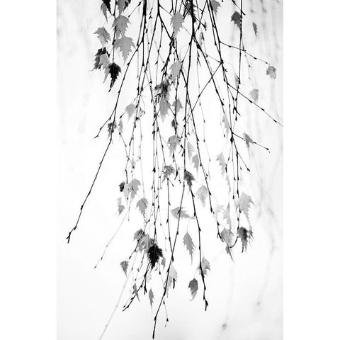 Hanging Black Modern Wood Framed Art Print by Cozart, Rebecca